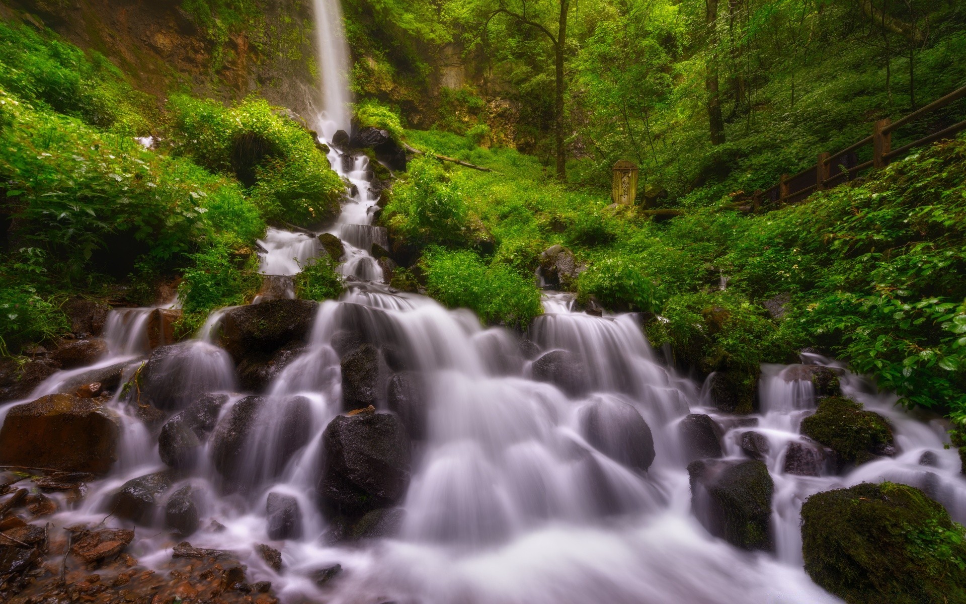 cachoeiras água cachoeira córrego rio natureza madeira outono ao ar livre rocha cascata pureza musgo viagem molhado grito folha - rapids movimento selvagem