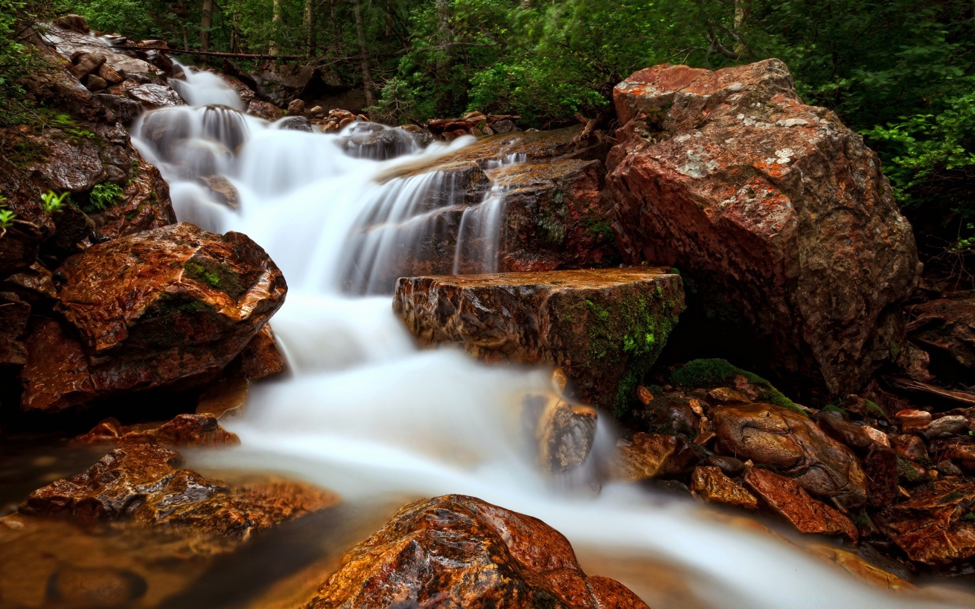 waterfalls wood stream waterfall nature