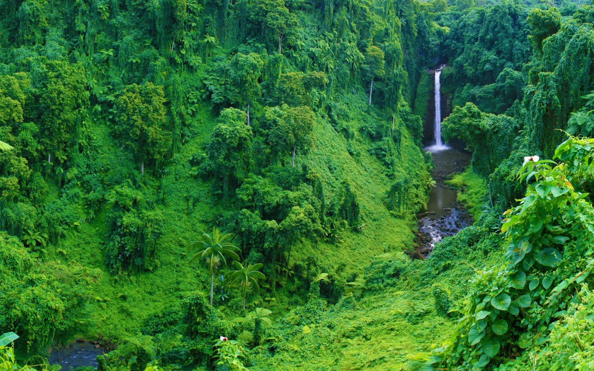 cascadas naturaleza madera hoja agua árbol paisaje flora verano al aire libre exuberante escénico viajes medio ambiente río selva tropical montañas parque crecimiento