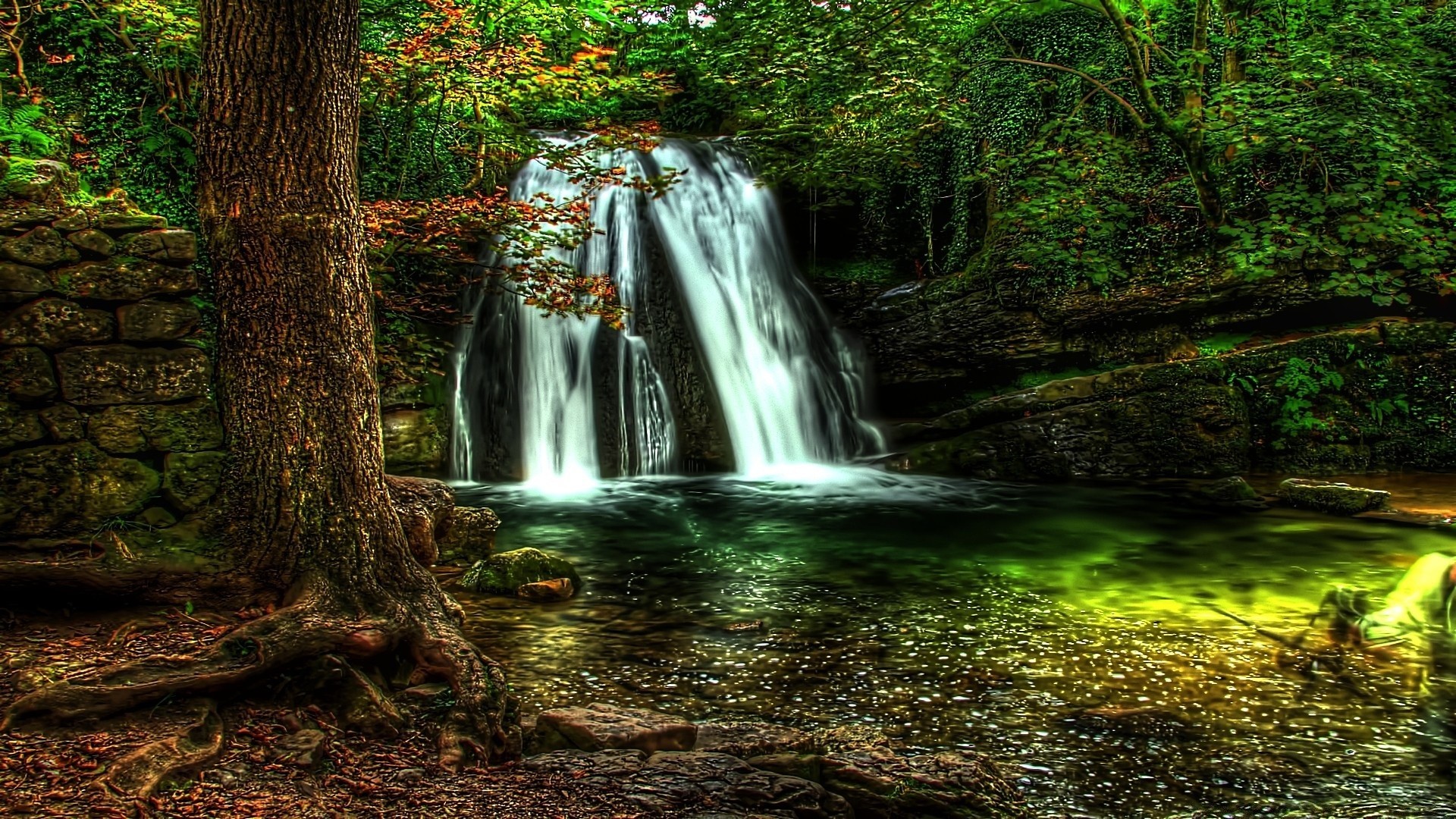 cascate legno acqua cascata natura foglia paesaggio autunno albero fiume flusso muschio viaggi creek parco all aperto cascata ambiente bagnato scenico