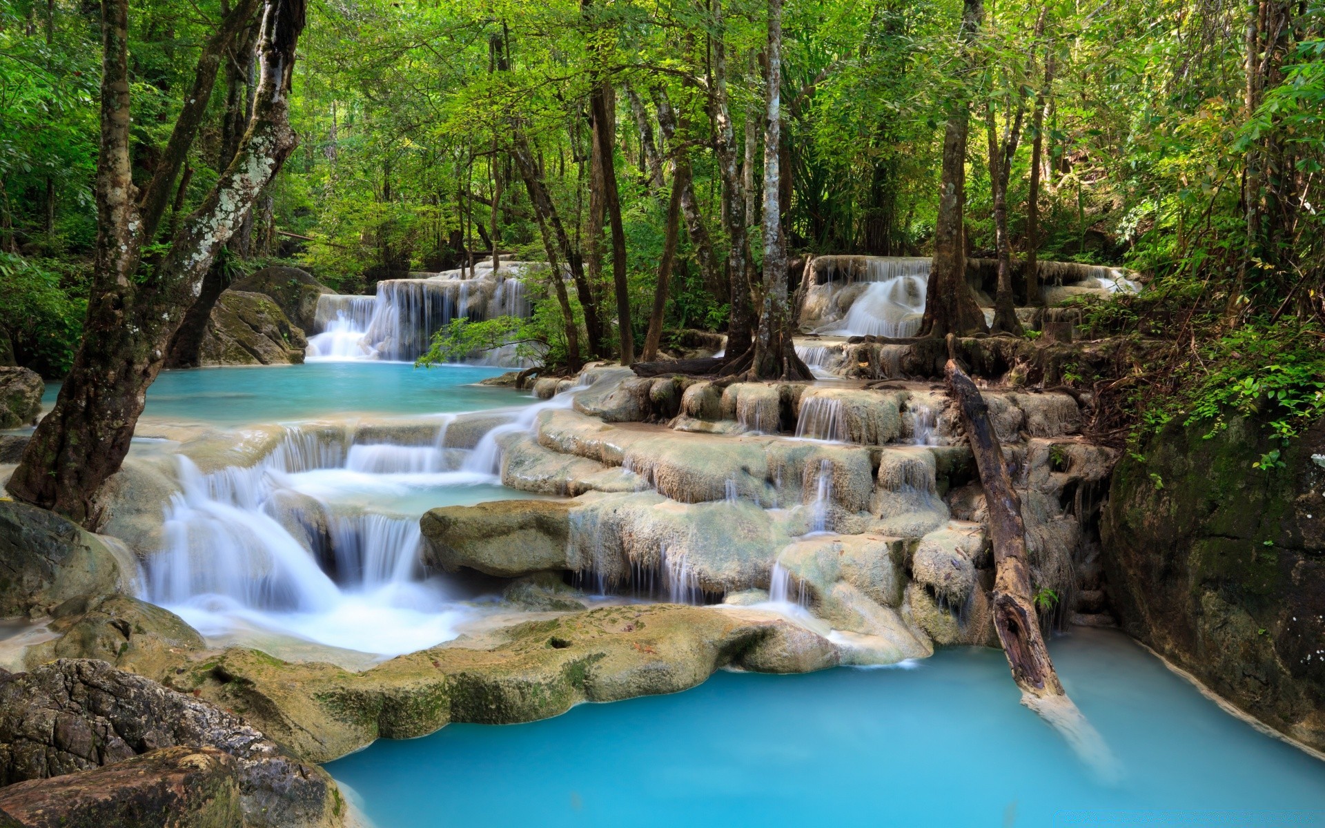 waterfalls water wood waterfall nature stream river creek cascade rock leaf travel wild landscape flow tree environment stone summer outdoors