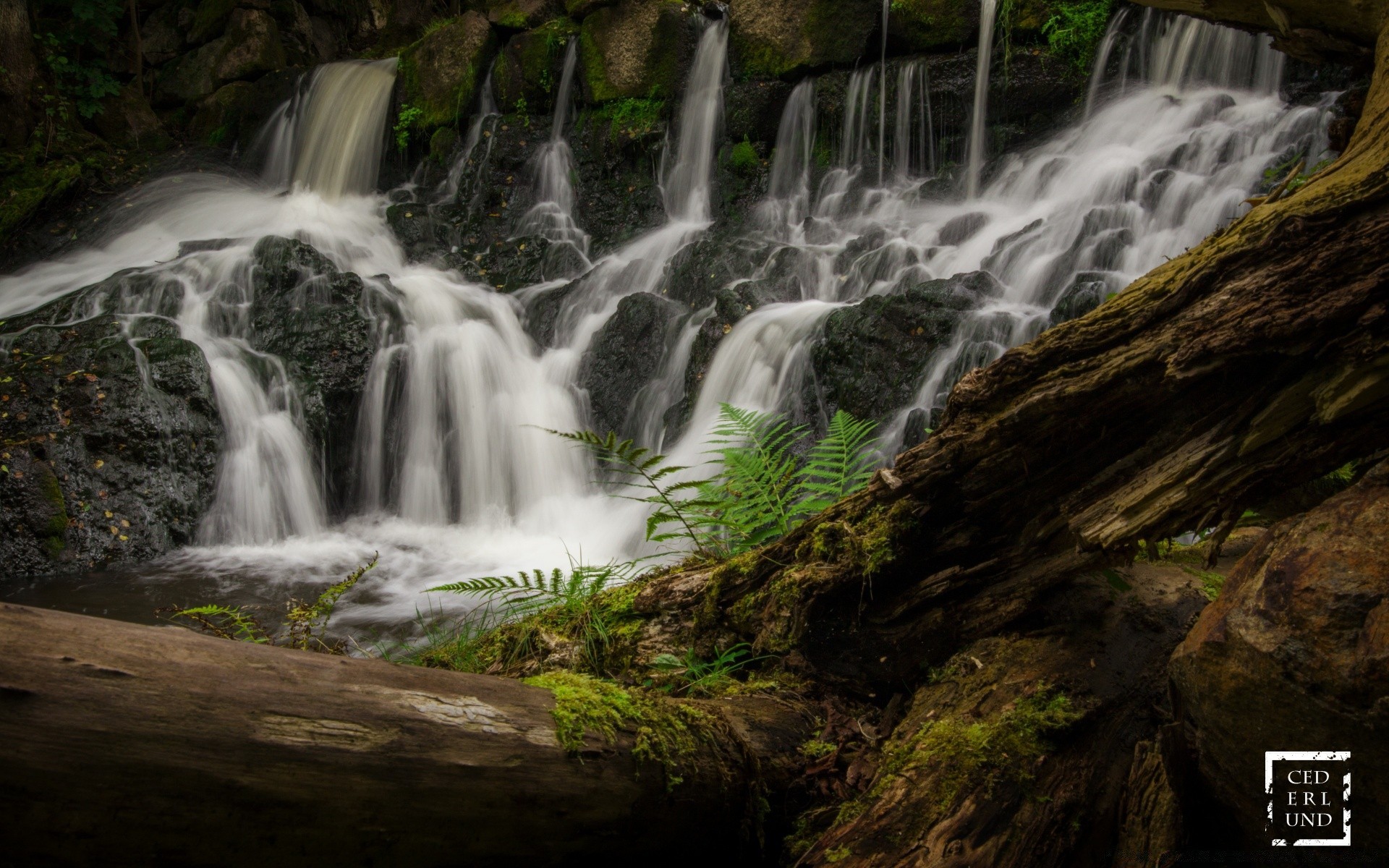 cascades eau cascade nature bois à l extérieur flux automne rivière feuille voyage rock humide cascade propreté mouvement sauvage flux mousse paysage