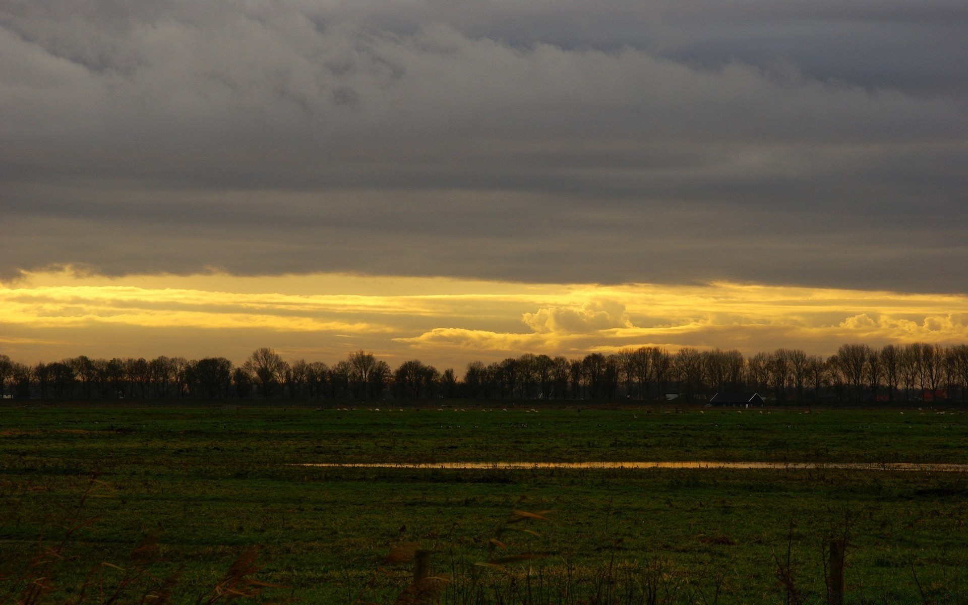 the sky landscape sunset dawn tree agriculture cropland sky outdoors nature fall field farm evening fog light countryside