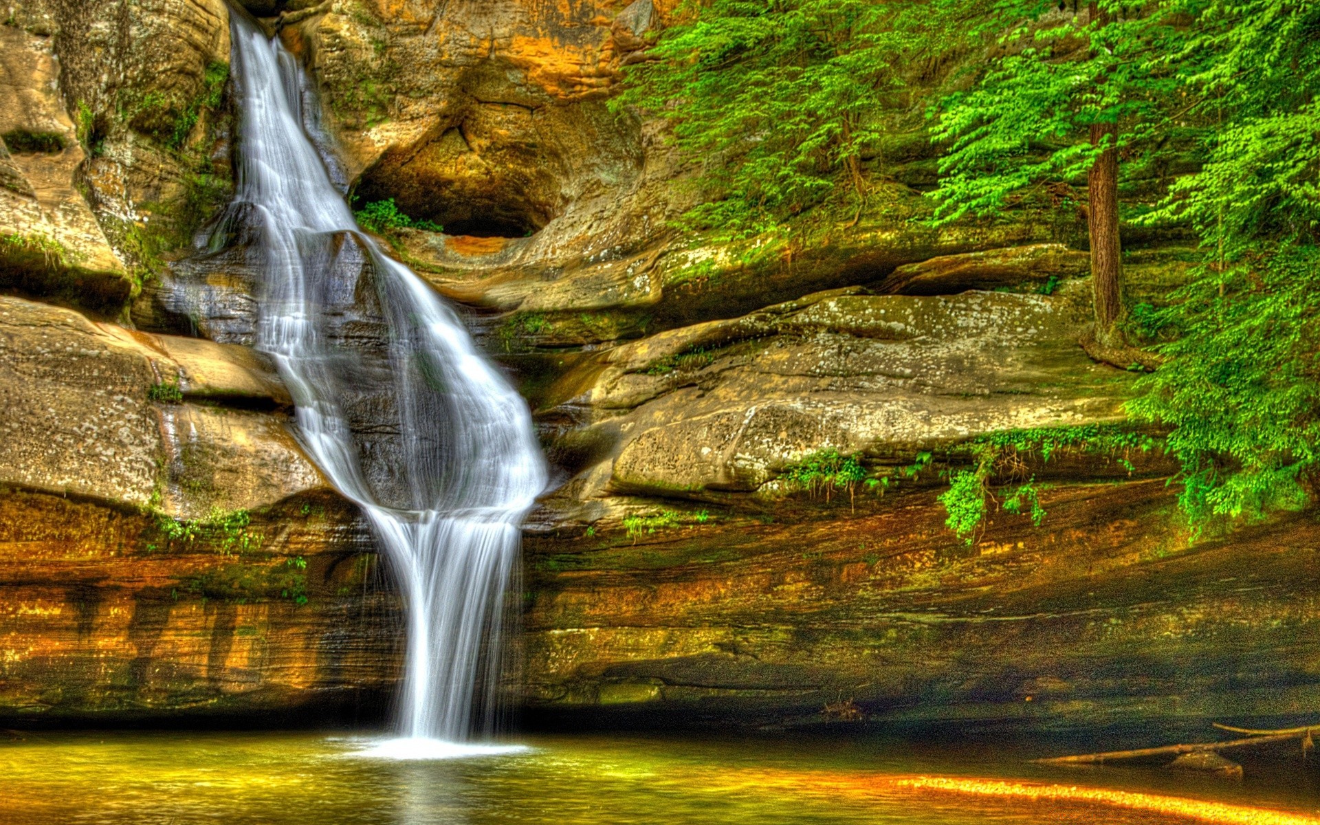 cascades eau cascade bois nature paysage rivière automne voyage rock montagne arbre parc feuille flux à l extérieur scénique cascade ruisseau paysage