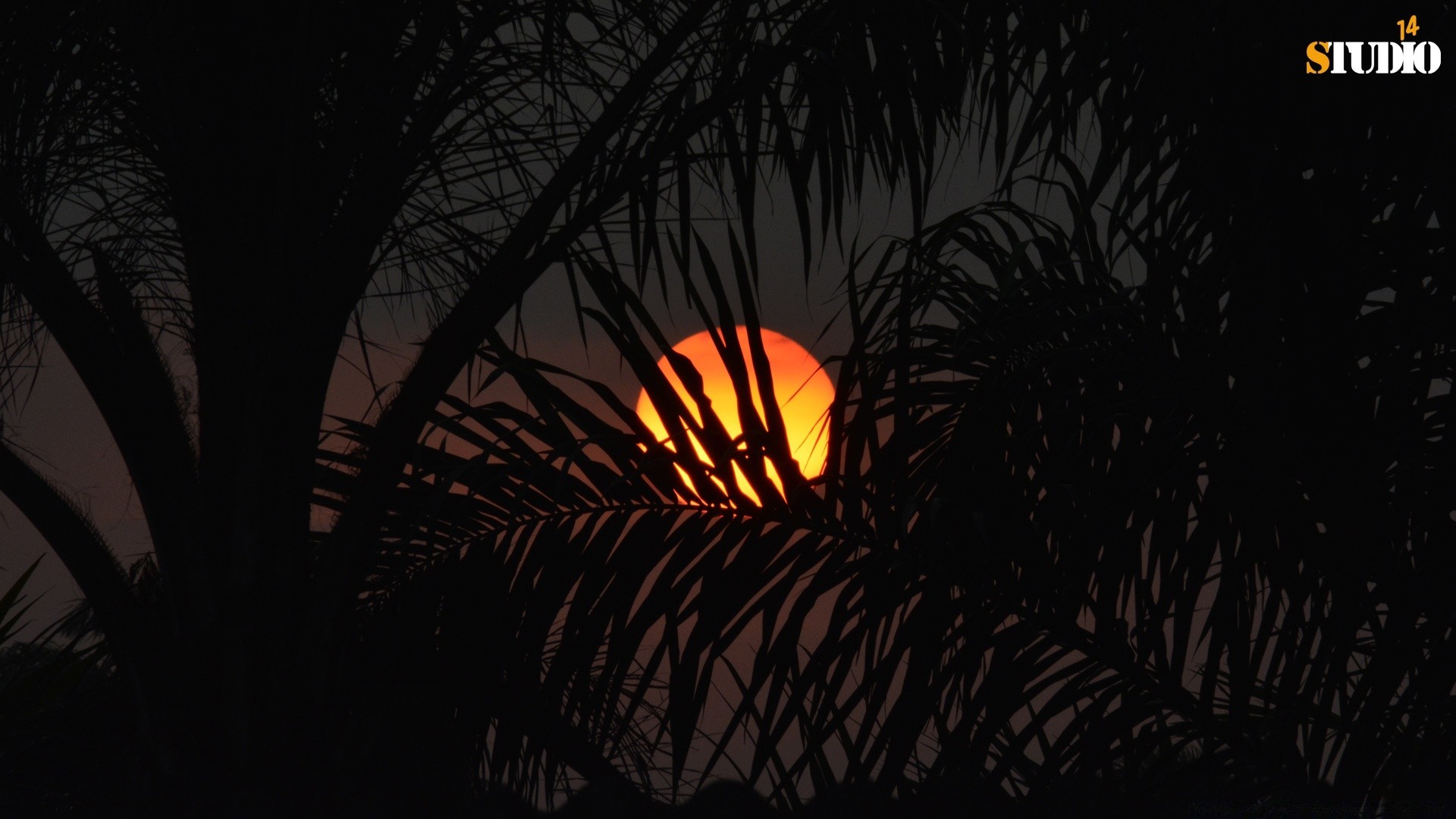 cielo luz puesta de sol noche