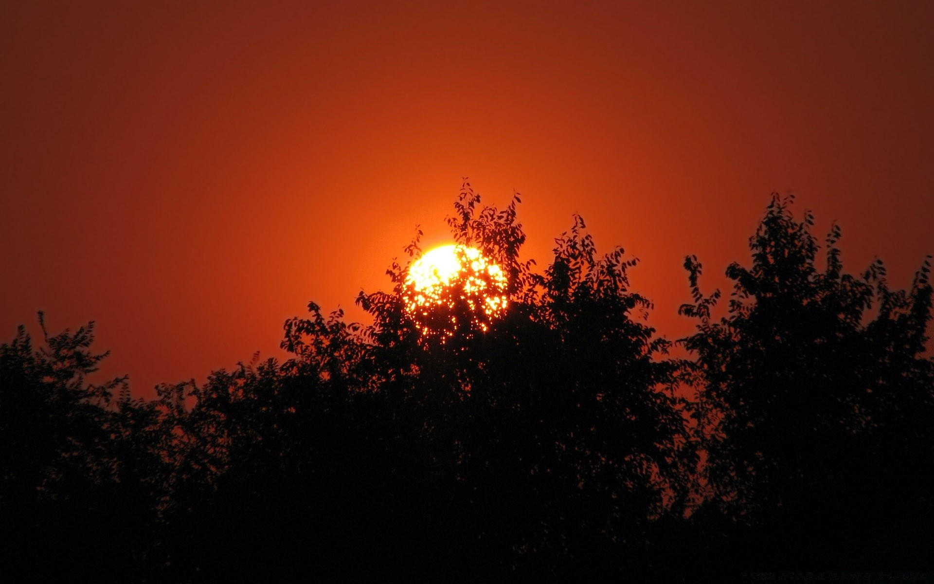 cielo puesta de sol amanecer sol noche crepúsculo silueta iluminado cielo buen tiempo naturaleza luz brillante luna al aire libre niebla