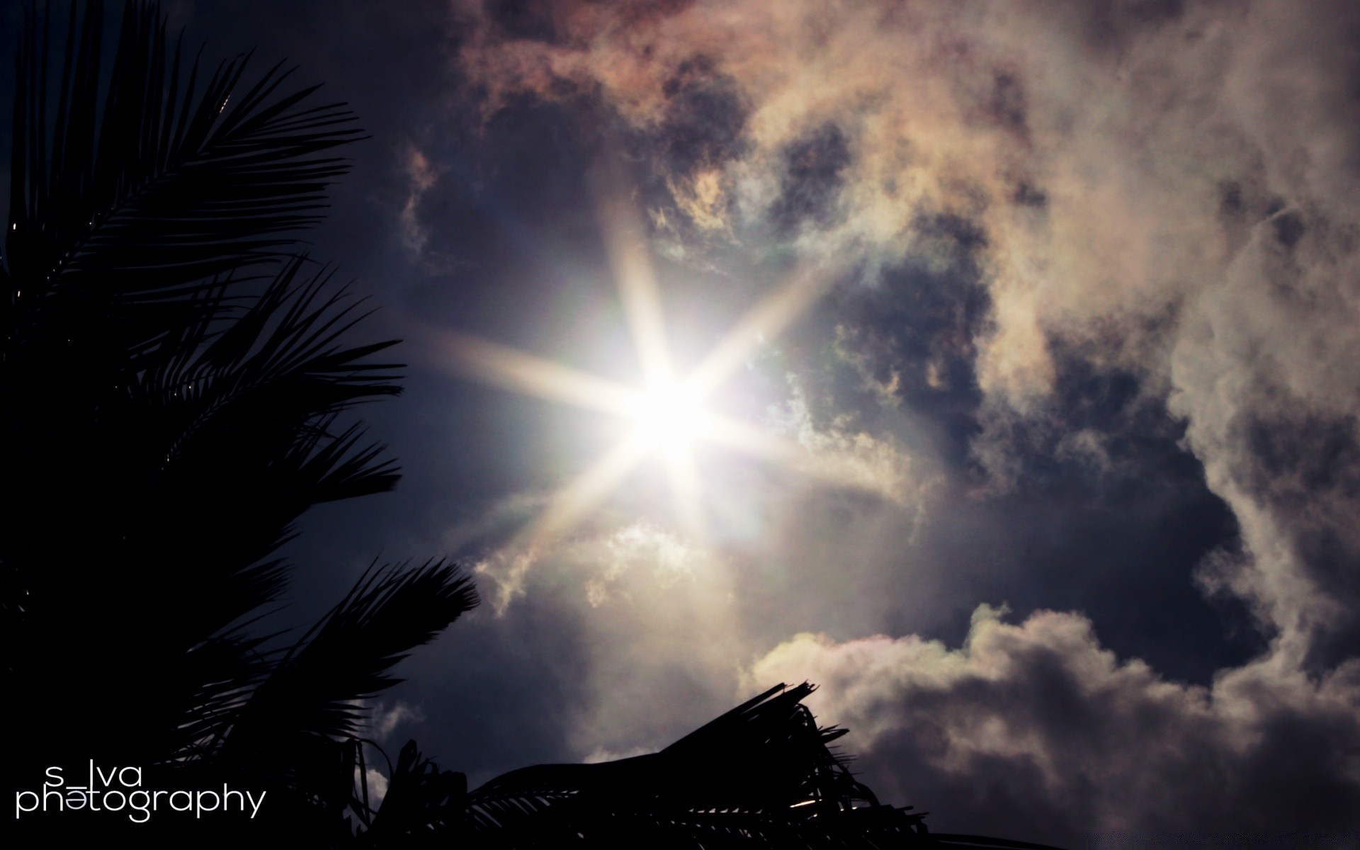 cielo sol puesta de sol cielo buen tiempo amanecer al aire libre noche naturaleza tiempo silueta oscuro luz