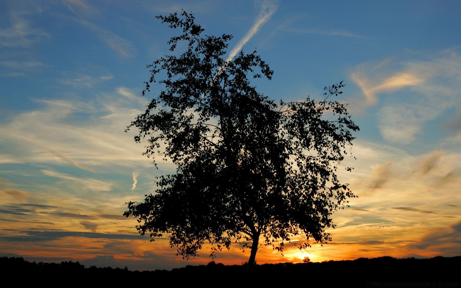 himmel landschaft baum natur himmel im freien dämmerung sonne sonnenuntergang gutes wetter sommer wetter holz