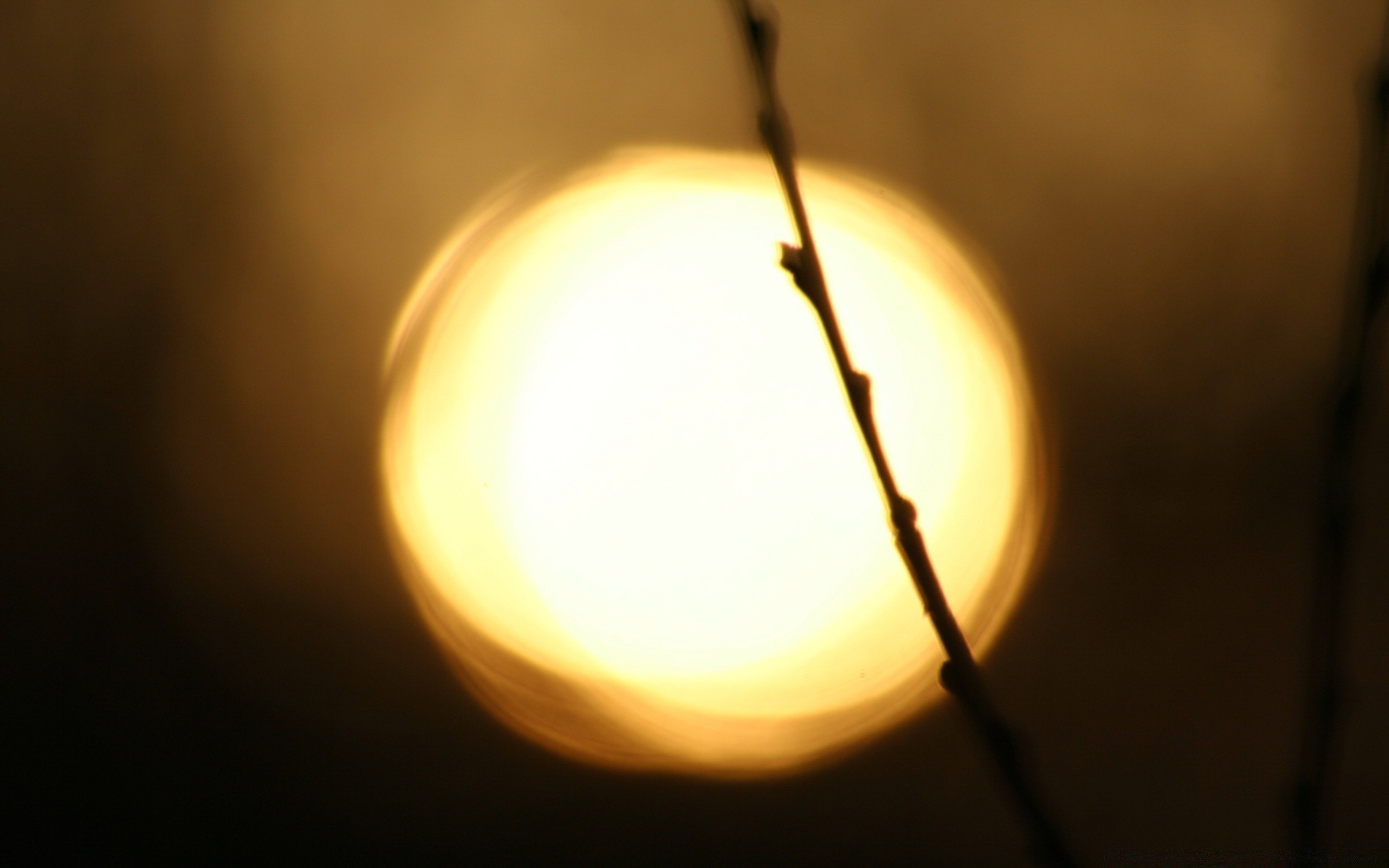 天空 火焰 光 模糊 太阳 背光 黑暗 明亮 温暖 圣诞节 抽象 热 艺术 灯 发光 月亮 静物