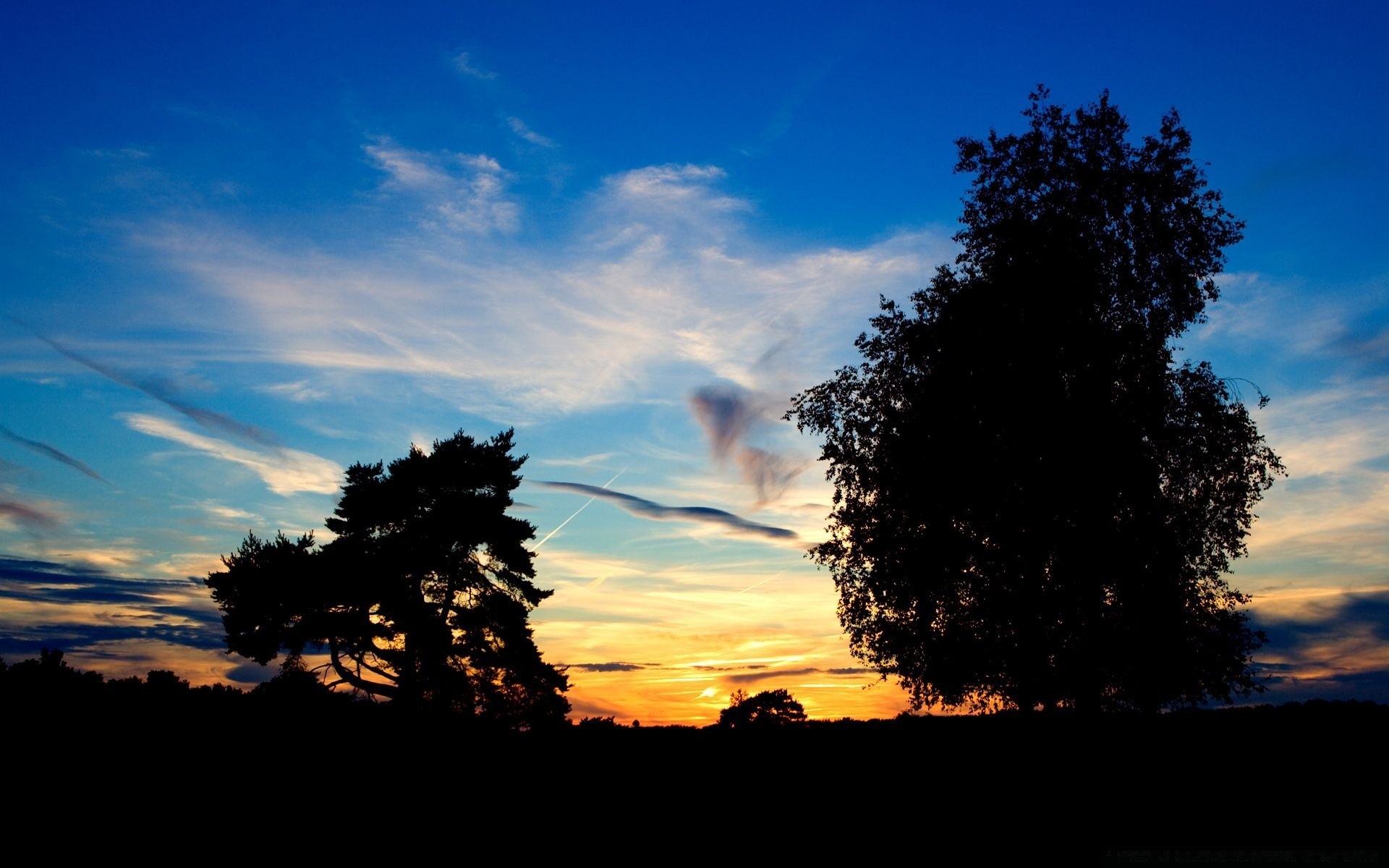 the sky sunset tree landscape sun dawn nature sky evening silhouette backlit fair weather outdoors dusk light summer