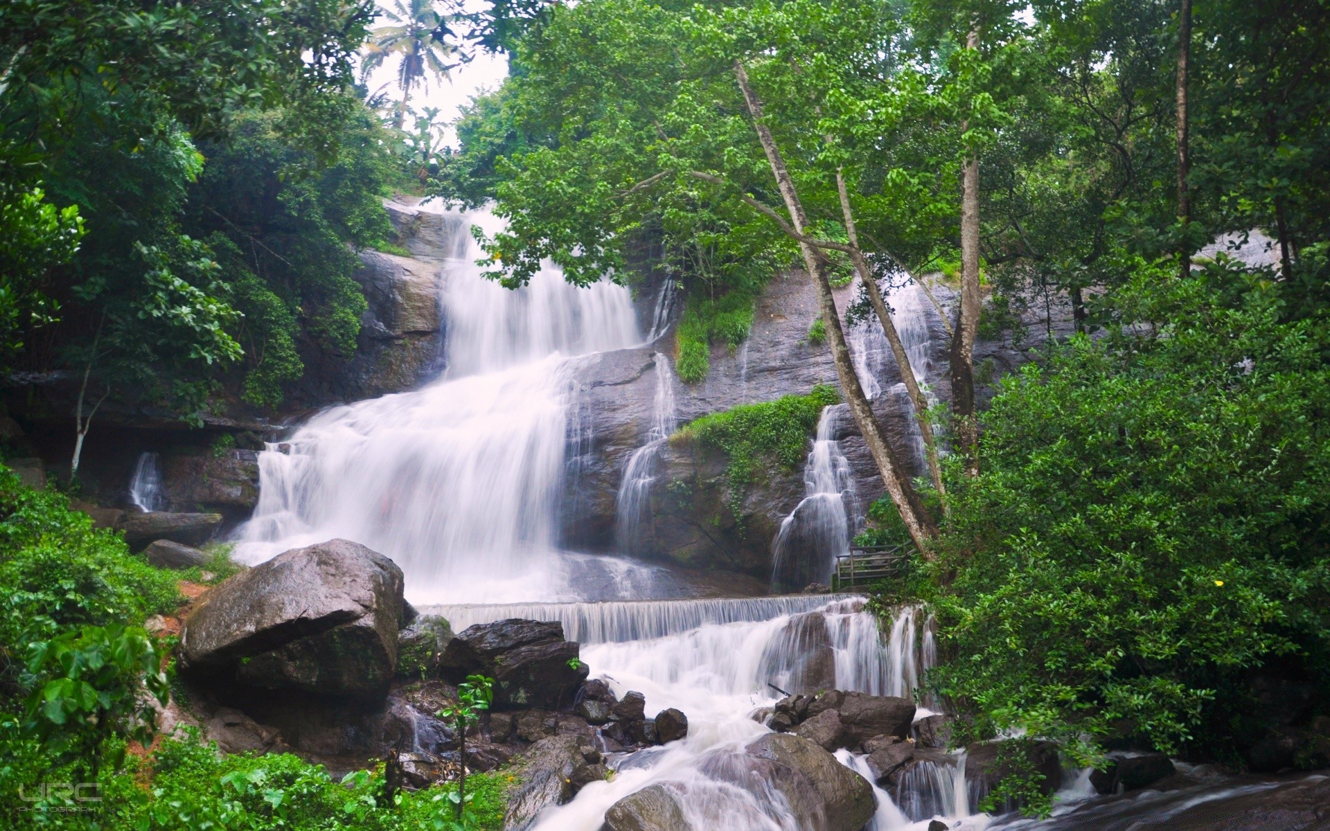 cascate cascata acqua natura flusso legno cascata fiume foglia pietra paesaggio viaggi estate roccia albero all aperto flusso ambiente parco giungla