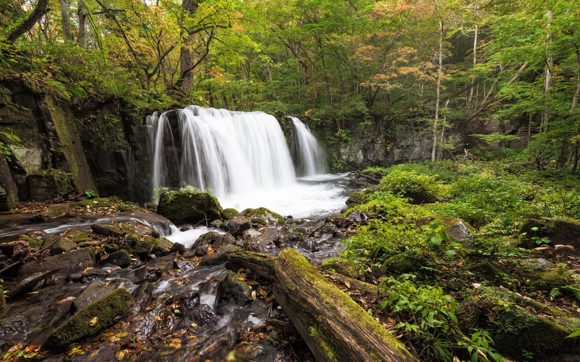 waterfalls waterfall water wood fall river nature stream leaf landscape cascade rock moss outdoors tree mountain lush creek travel scenic