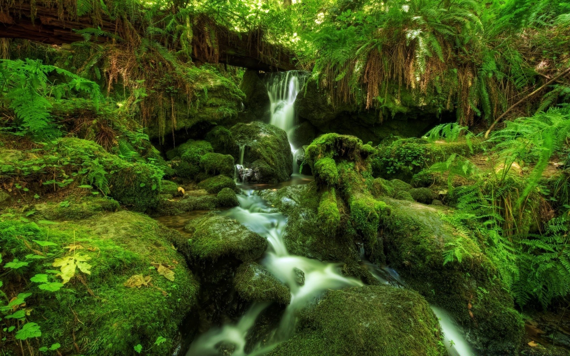 природа водопад лестница трава бесплатно