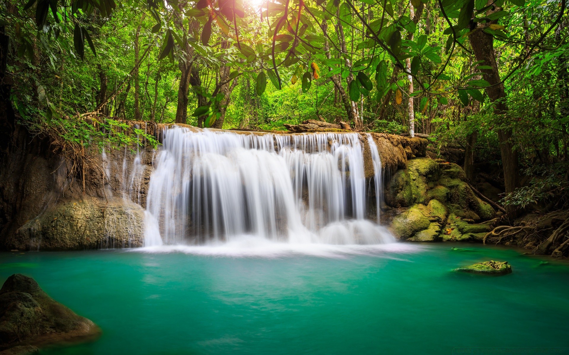 cascate acqua cascata natura flusso di legno fiume foglia cascata tropicale corsa esterna flusso roccia purezza movimento bagnato autunno giungla albero