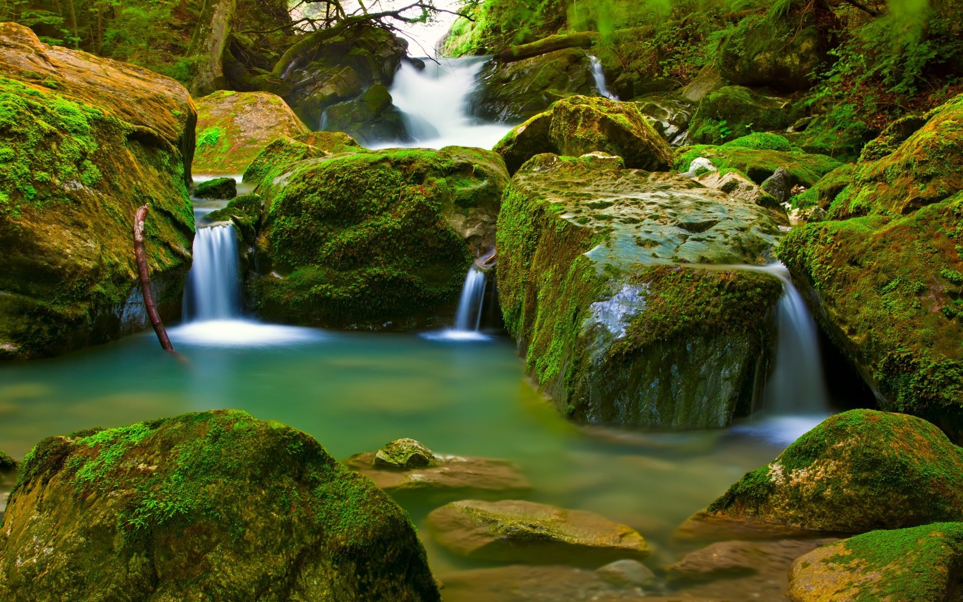 cascadas cascada agua musgo río corriente hoja cascada naturaleza roca madera grito otoño viajes movimiento al aire libre corriente exuberante