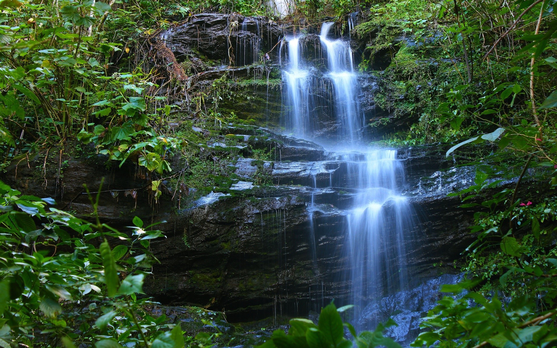 cachoeiras água natureza madeira cachoeira folha rio córrego tráfego tropical ao ar livre rocha ambiente paisagem viagem cascata árvore selvagem molhado verão