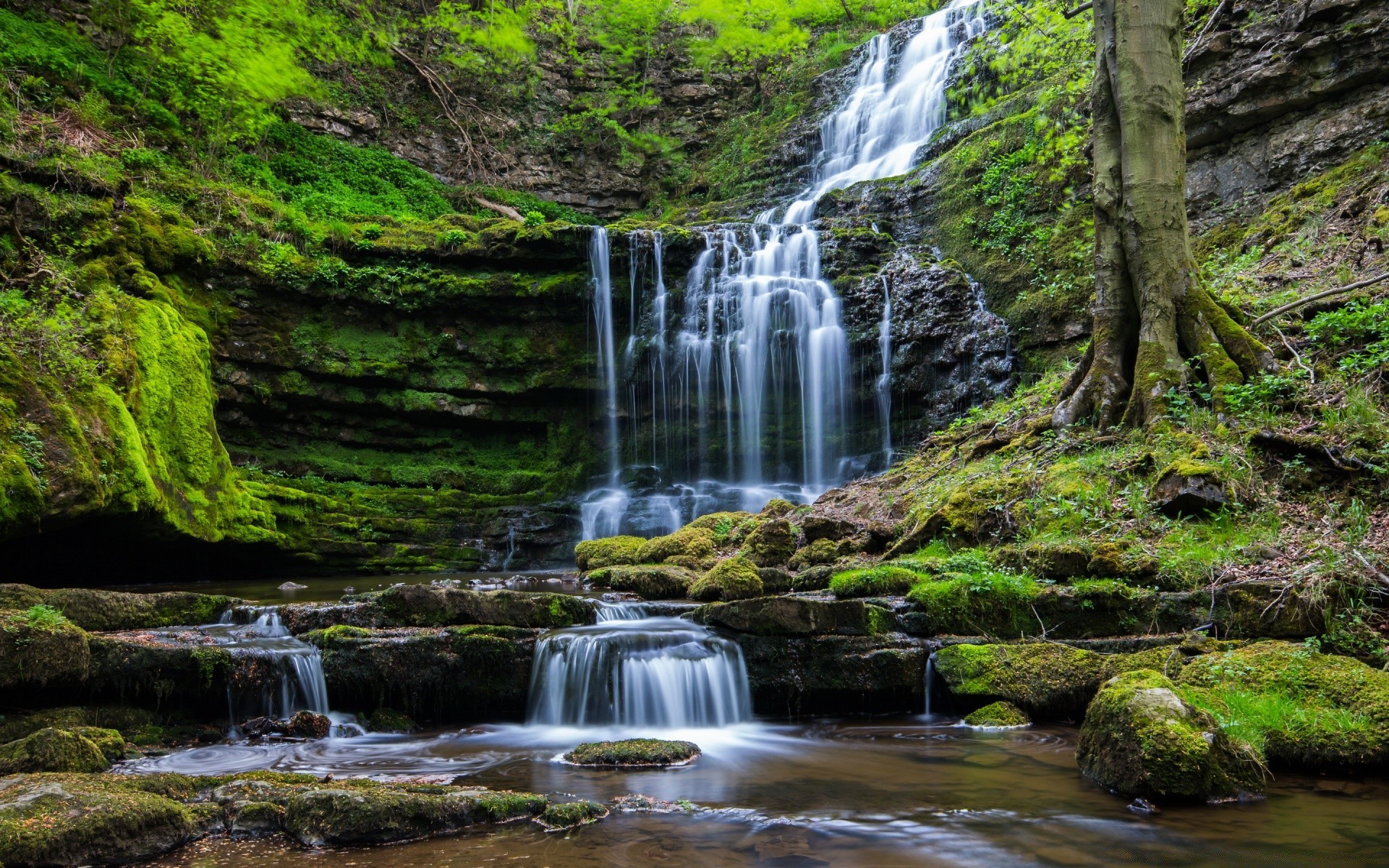 cachoeiras cachoeira água rio córrego natureza madeira rocha outono cascata musgo paisagem ao ar livre selvagem folha grito viagem montanha molhado córrego