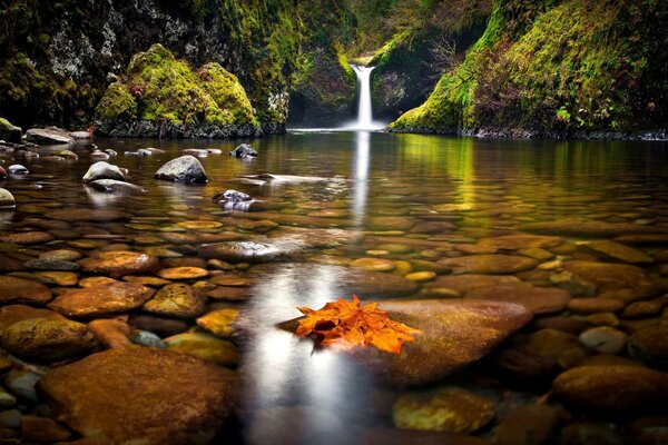 Increíble belleza a su alrededor