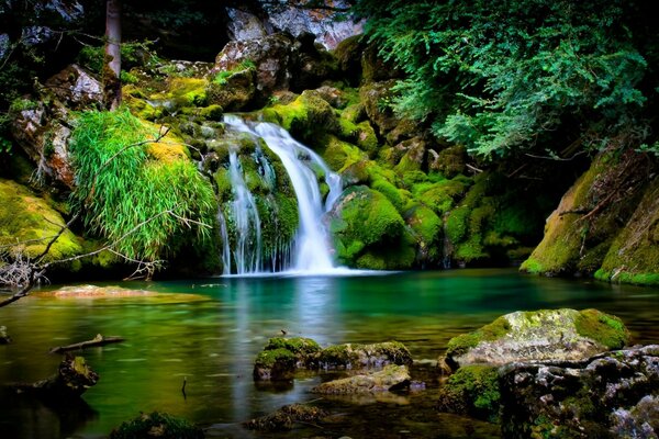 La cascade se jette dans la rivière. Nature