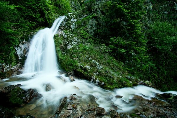 Cascada espumosa del río de montaña