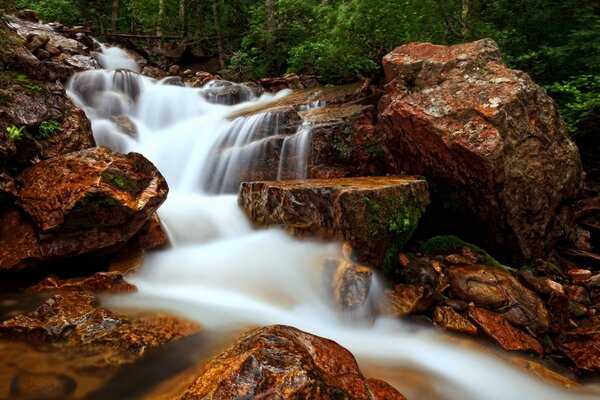 Bella foresta cascata lunga esposizione