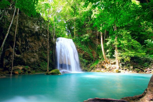 Cascada en los trópicos con laguna