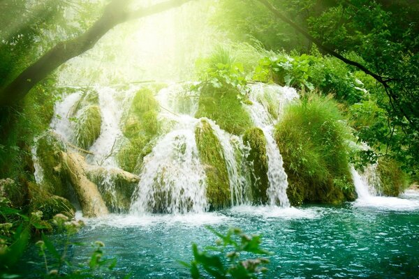 Die faszinierenden Wasserfälle des wilden Dschungels