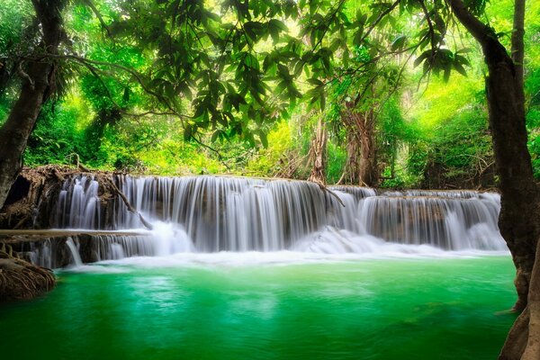 Schöner Wasserfall unter Bäumen. Faszinierender Wasserfall