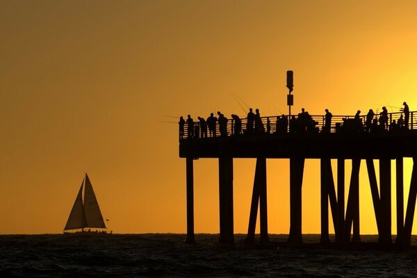 Sunset on the sea. White sail