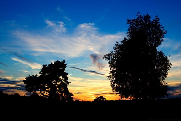 Landscape. Colorful sky on sunset background