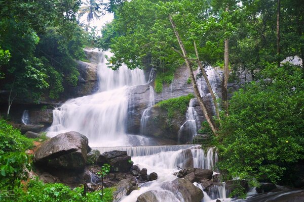 Потік водоспаду серед лісу