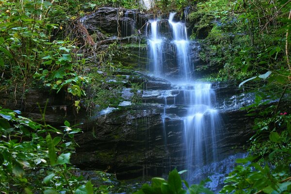 Tropischer Regen hat einen Wasserfall geschaffen