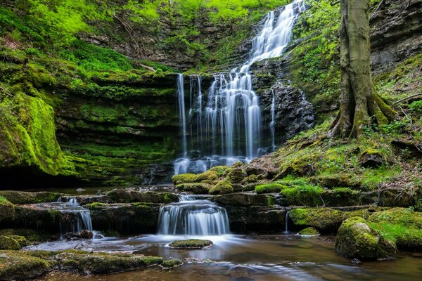 Hohe Kaskade Wasserfall Landschaft