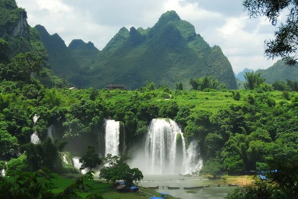 Voyage à la cascade de la faune