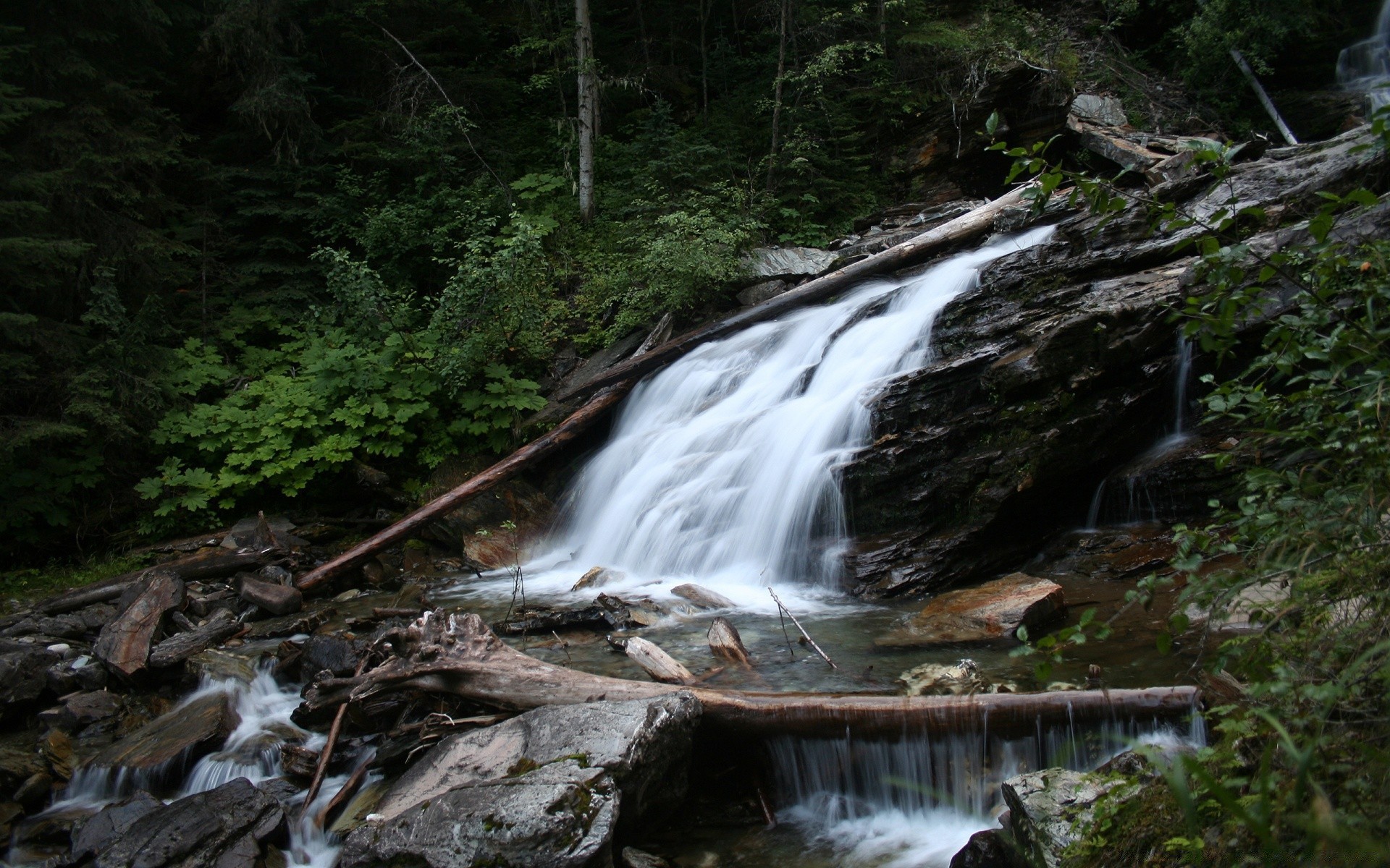 cascades eau cascade rivière ruisseau bois paysage rock nature ruisseau feuille montagne arbre automne cascade voyage flux à l extérieur mousse mouvement