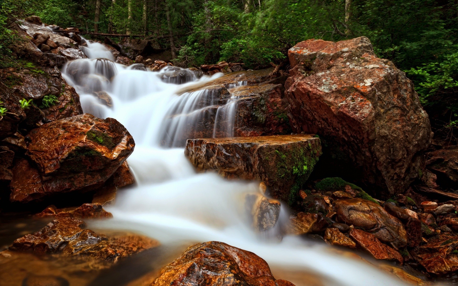 cascadas madera cascada corriente naturaleza