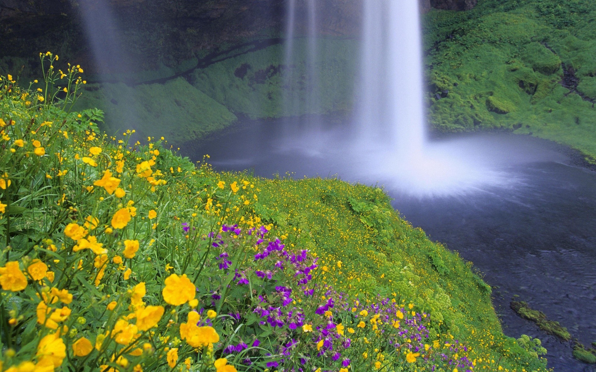 cachoeiras natureza ao ar livre paisagem água verão madeira viagem flor grama cênica folha árvore montanhas flora luz do dia ambiente selvagem idílio rio