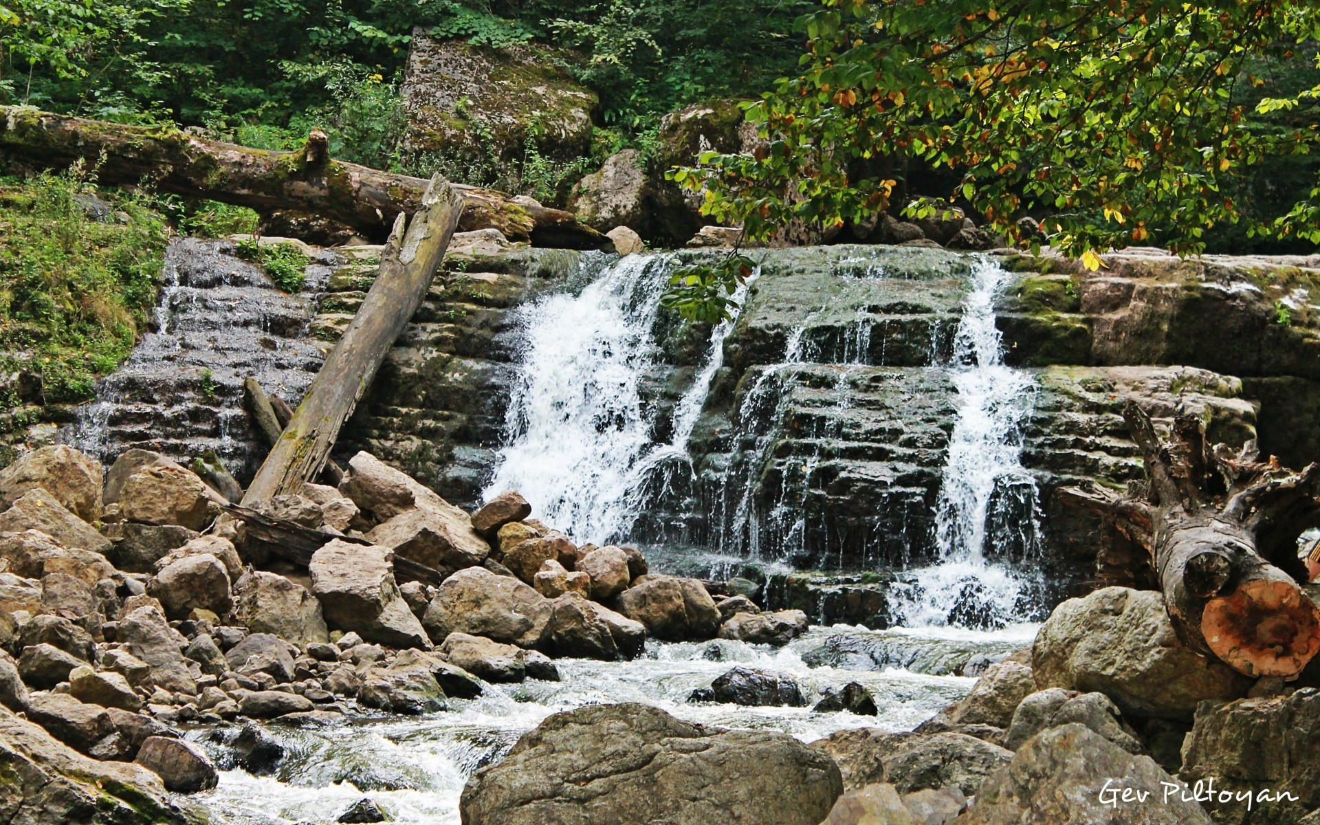 cascades cascade eau ruisseau rock rivière nature paysage cascade à l extérieur bois automne ruisseau pierre ruisseau voyage trafic - rapids scénique feuille