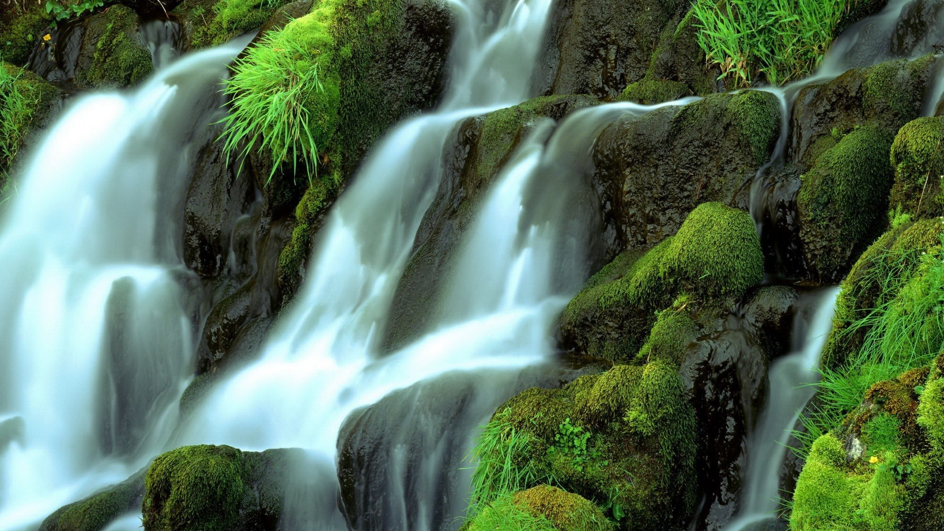 cascate cascata acqua muschio flusso natura cascata legno fiume autunno creek all aperto splash bagnato foglia roccia flusso purezza sfocatura selvaggio