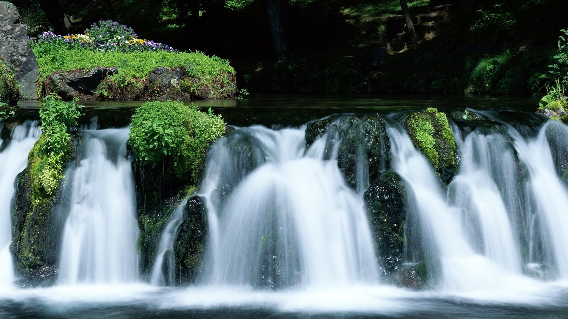 cascate cascata acqua natura flusso fiume cascata legno caduta foglia movimento pulito flusso muschio all aperto bagnato roccia pulito viaggio slick