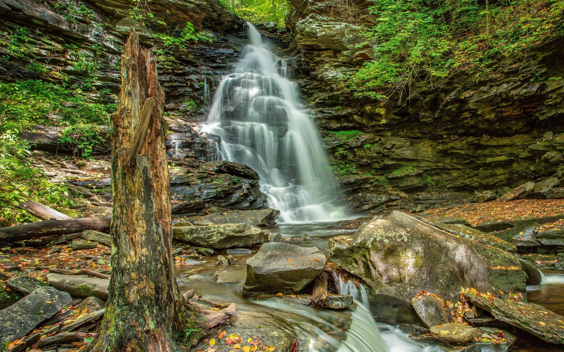 cachoeiras cachoeira água madeira córrego natureza rio musgo cascata folha rocha grito outono córrego paisagem ao ar livre viajar árvore selvagem cênica