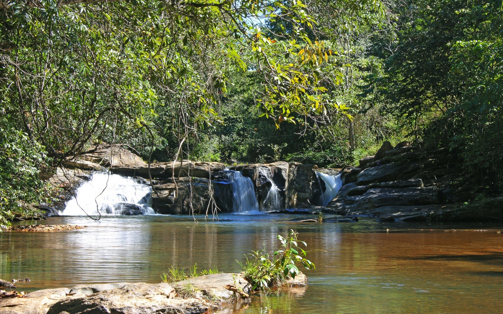 cascate acqua natura fiume legno paesaggio flusso albero foglia ambiente riflessione viaggi all aperto estate selvaggio parco lago flusso