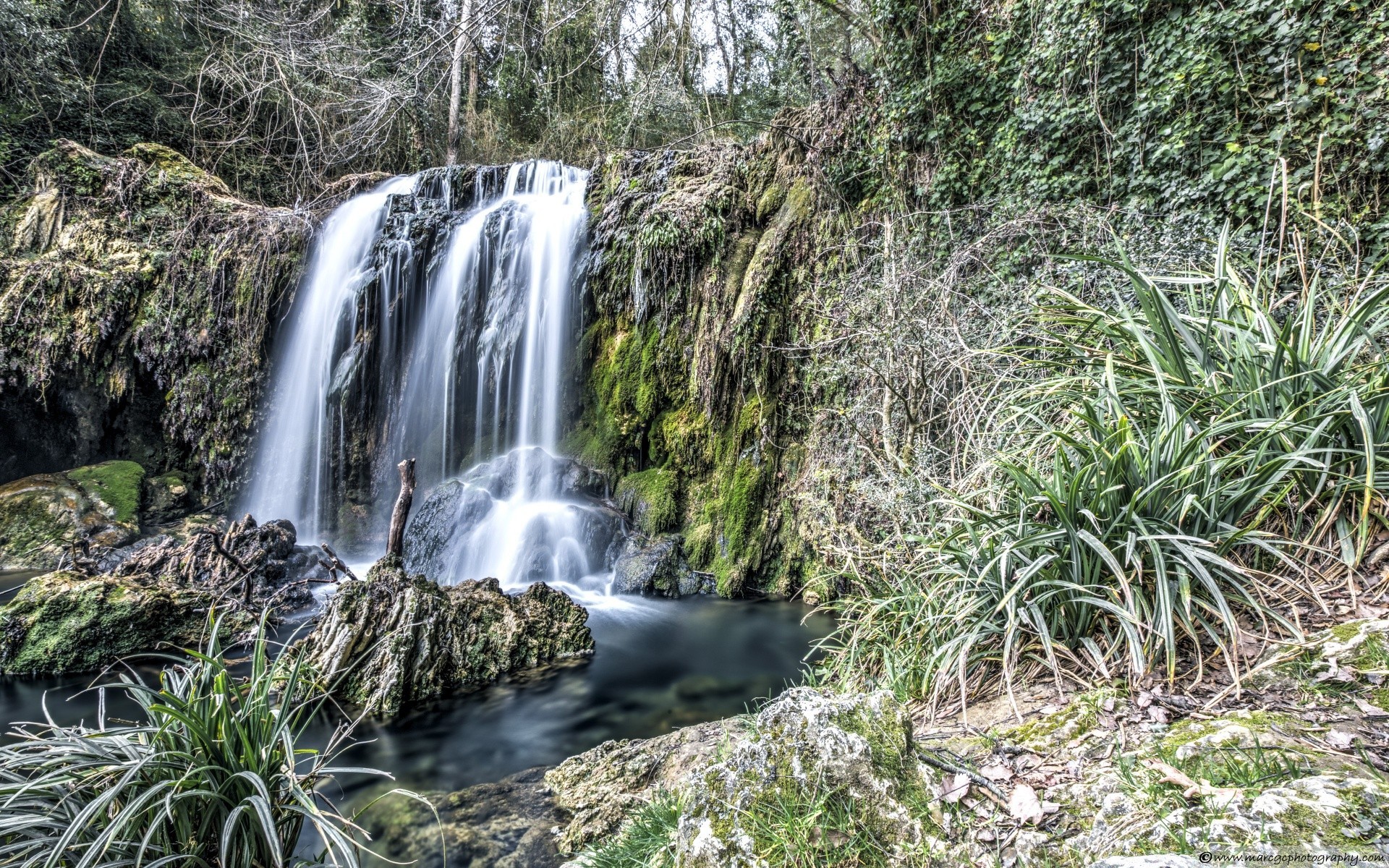 waterfalls water nature wood waterfall stream river landscape rock leaf outdoors travel wild cascade tree park scenic flora creek stone