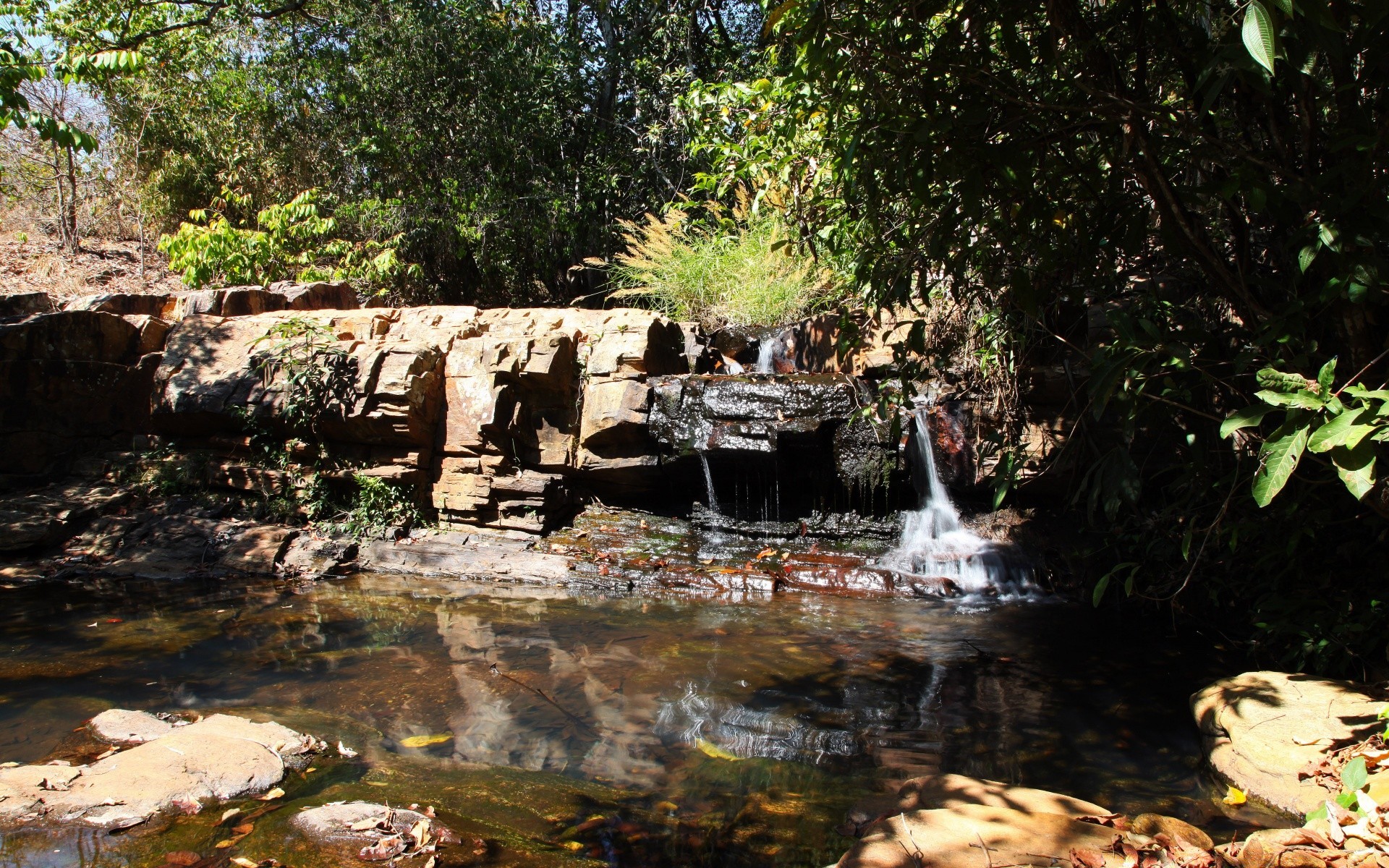 waterfalls water nature river stream travel stone wood outdoors leaf tree waterfall landscape rock summer environment flow tropical