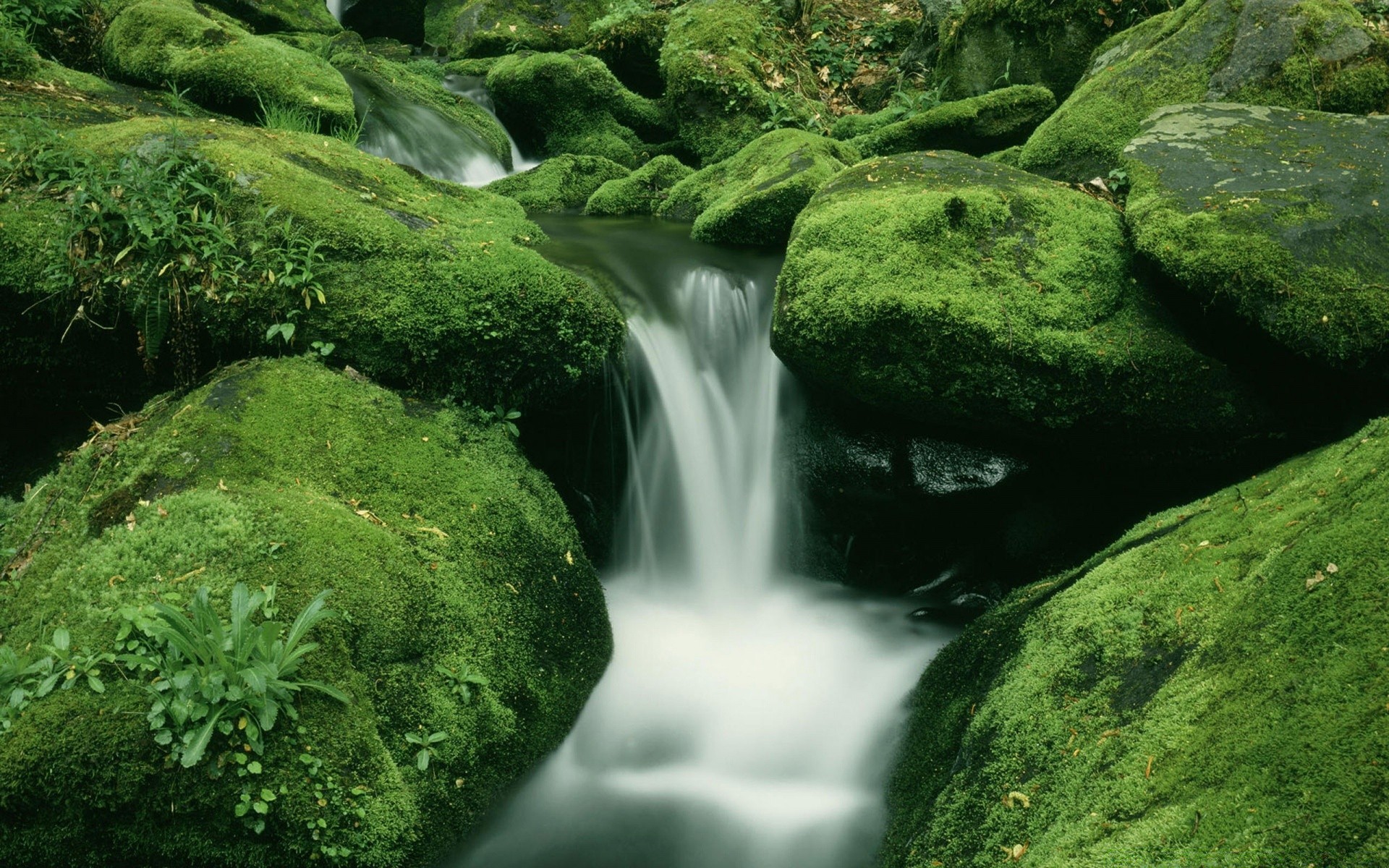 wasserfälle moos natur wasserfall wasser rock blatt holz fluss im freien nass stein fluss sommer frische park kaskade medium wild landschaft