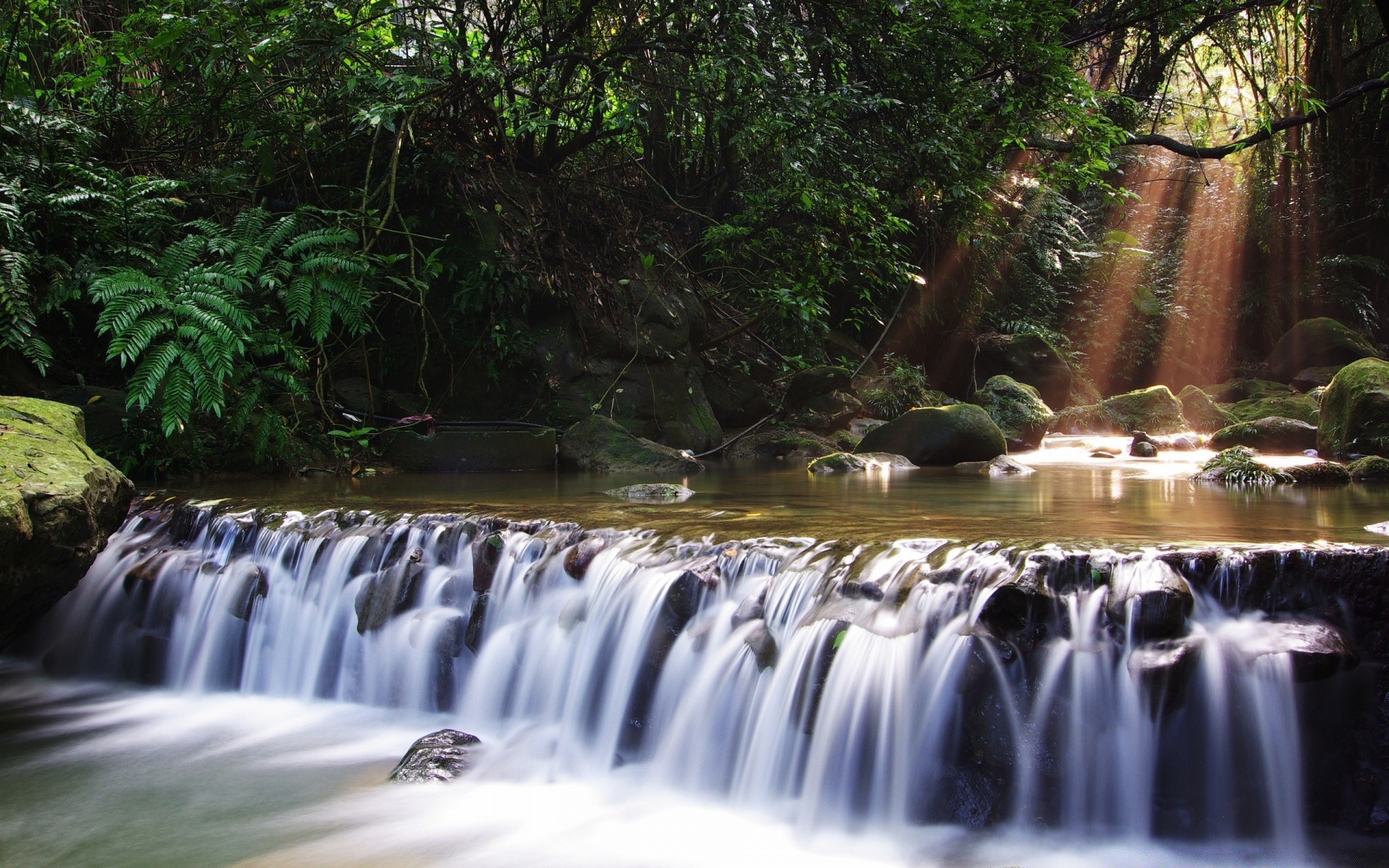 cascadas cascada agua naturaleza movimiento río corriente cascada madera al aire libre otoño corriente desenfoque hoja roca limpieza viajes mojado parque splash