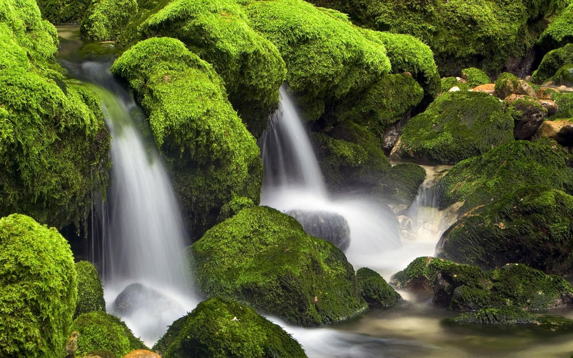 cascate cascata acqua muschio cascata natura flusso fiume foglia legno flusso bagnato lussureggiante roccia all aperto autunno creek pulito paesaggio pietra