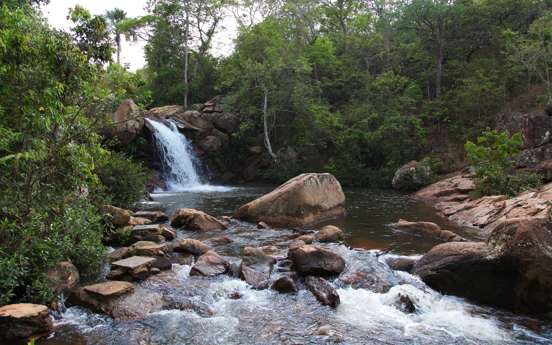 waterfalls water stream river waterfall nature wood rock travel landscape outdoors tree cascade creek flow leaf motion stone environment wet