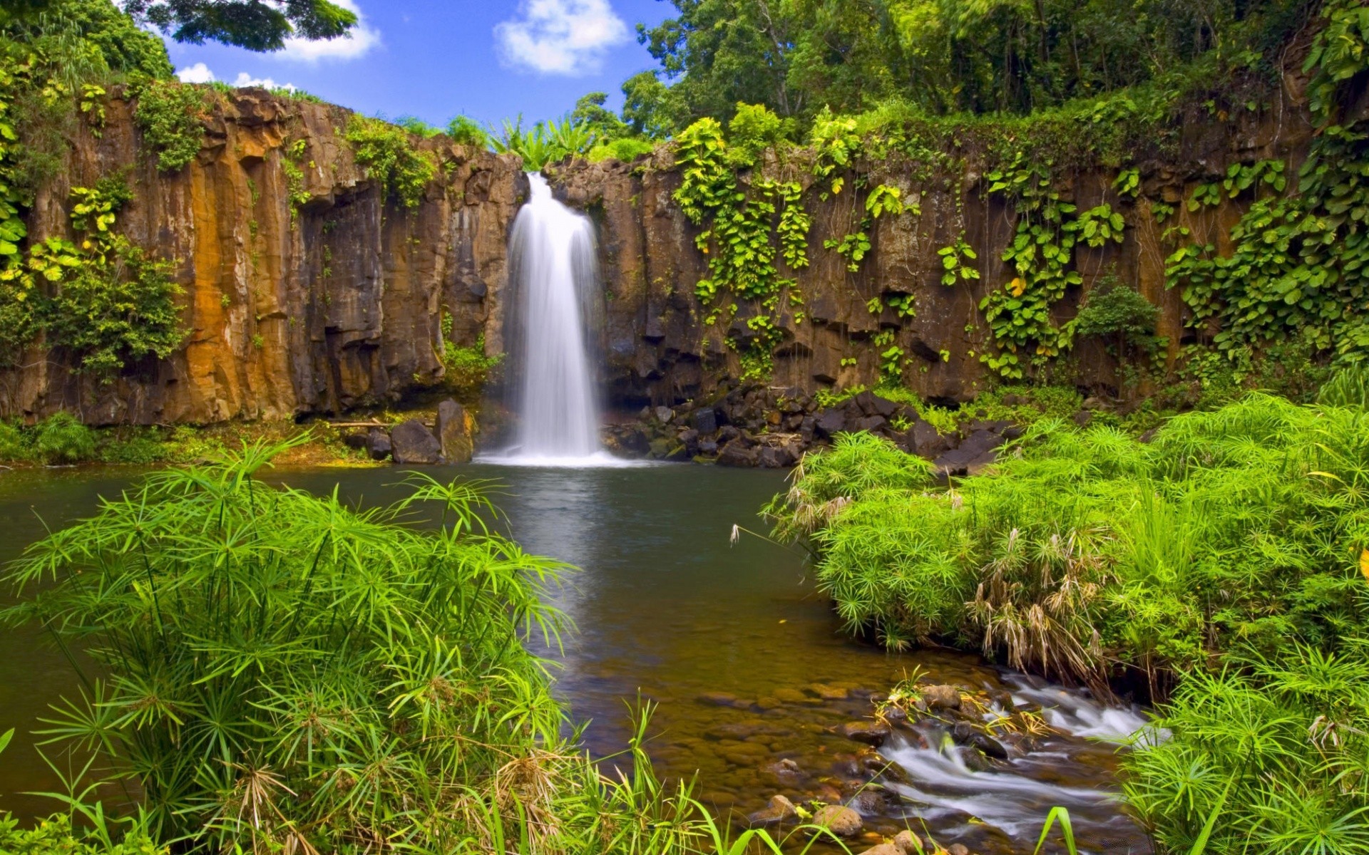 waterfalls water waterfall nature river wood stream landscape leaf travel outdoors cascade rock scenic creek environment park summer tree stone