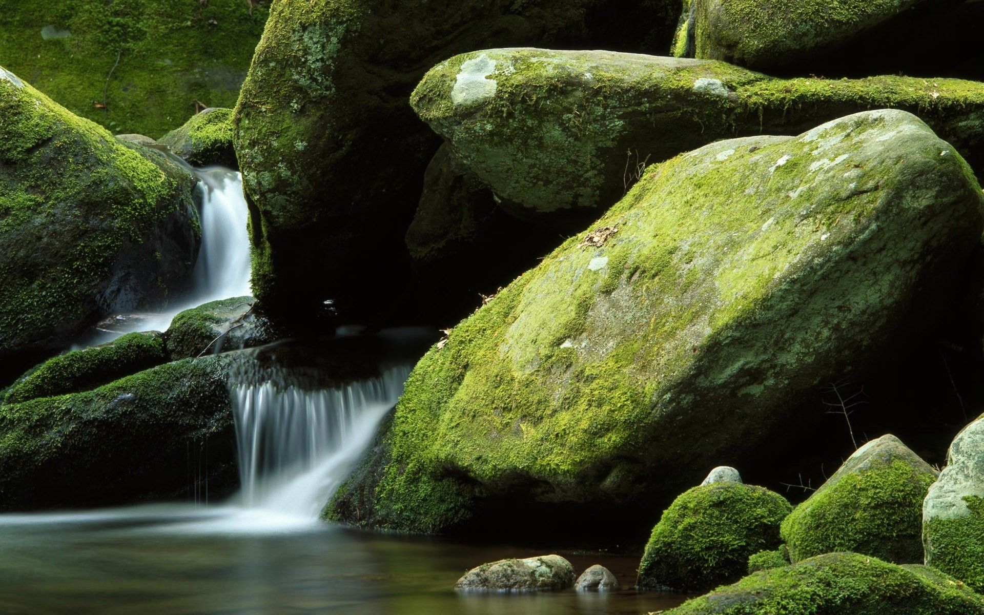 cascate cascata acqua muschio roccia fiume flusso natura cascata autunno flusso splash legno foglia movimento bagnato all aperto creek parco boulder